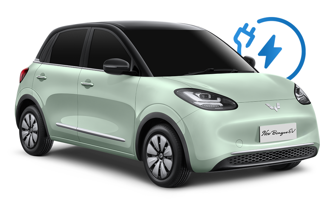 Wuling New Binguo EV Lite Palembang